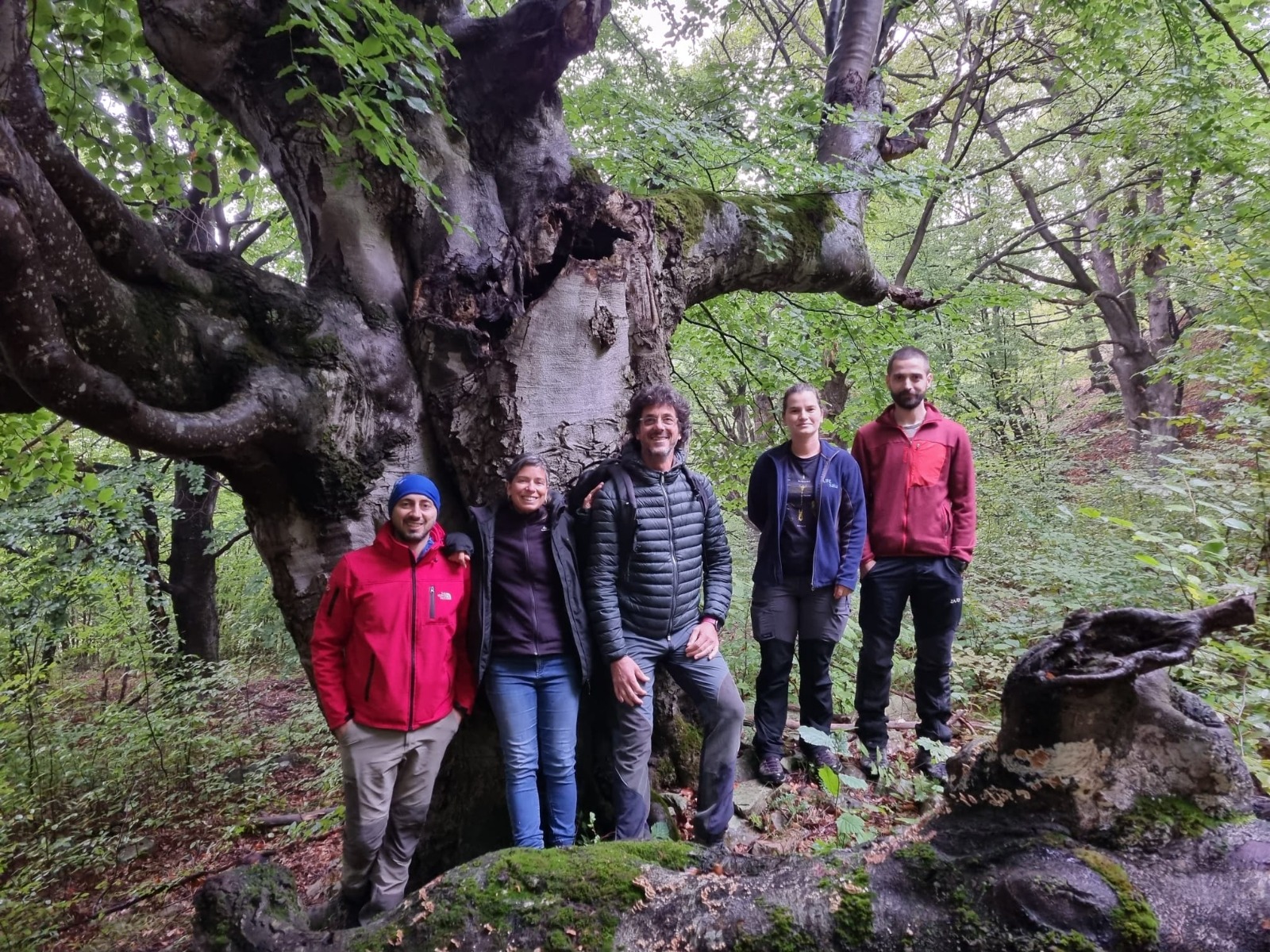 In Romania and Cansiglio for Networking Activities with the LIFE Rosalia Project